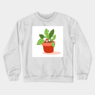 Flower pot illustration Crewneck Sweatshirt